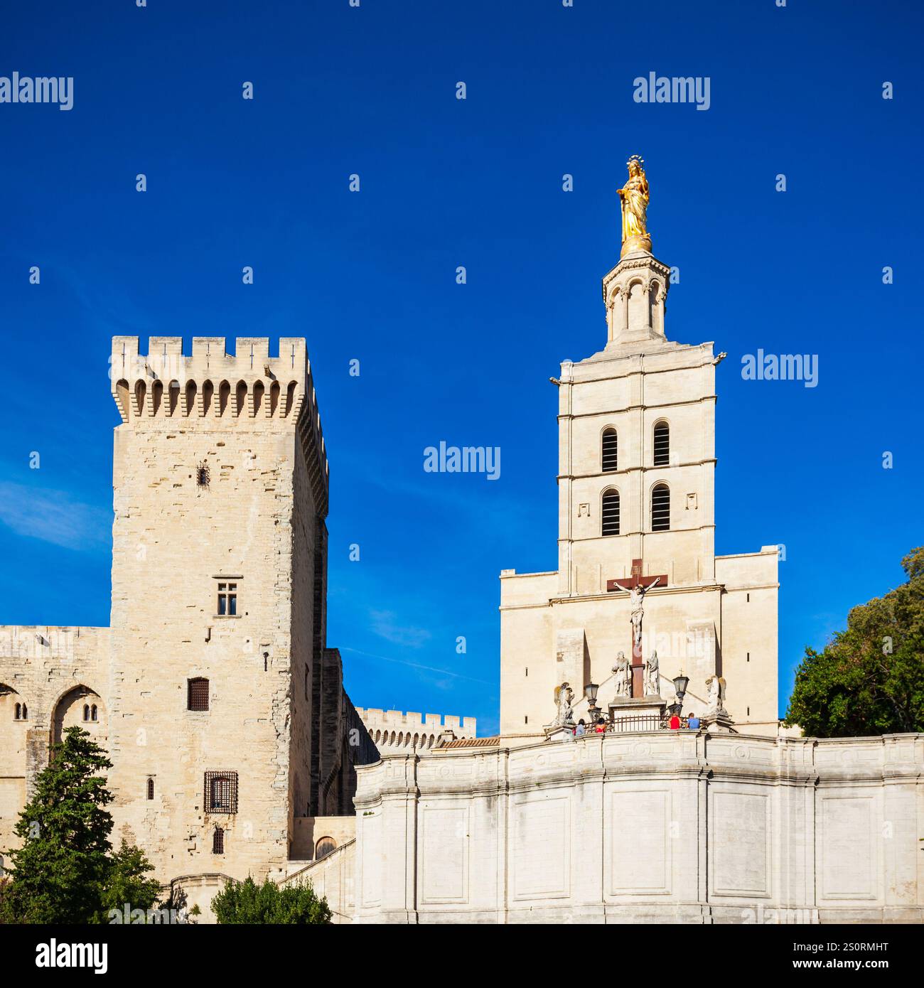 In der Kathedrale von Avignon Avignon Stadt, Südfrankreich. Stockfoto