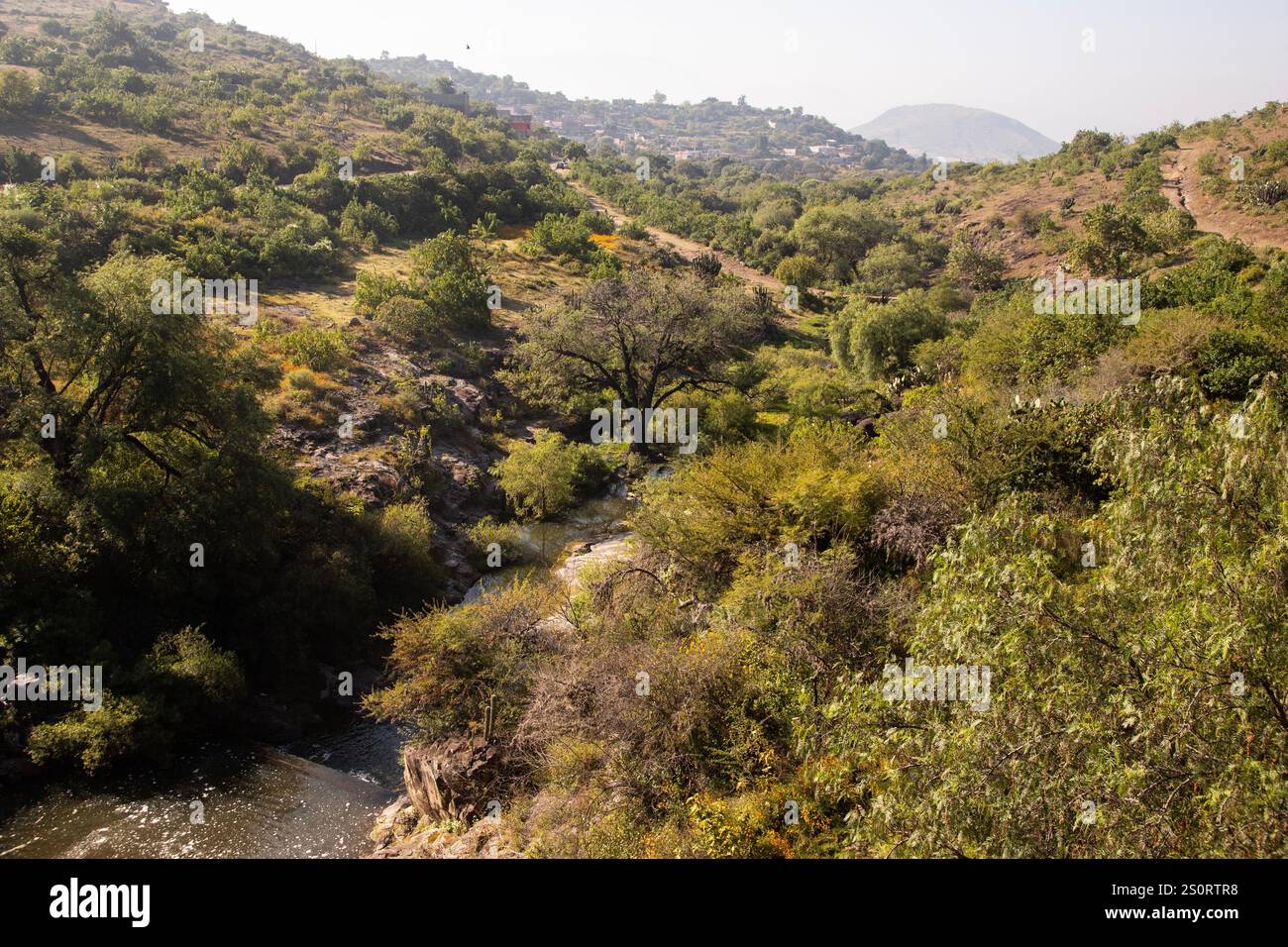 Bergwanderweg zum Mount Picacho im Oaxaca Valley in Mexiko. Stockfoto