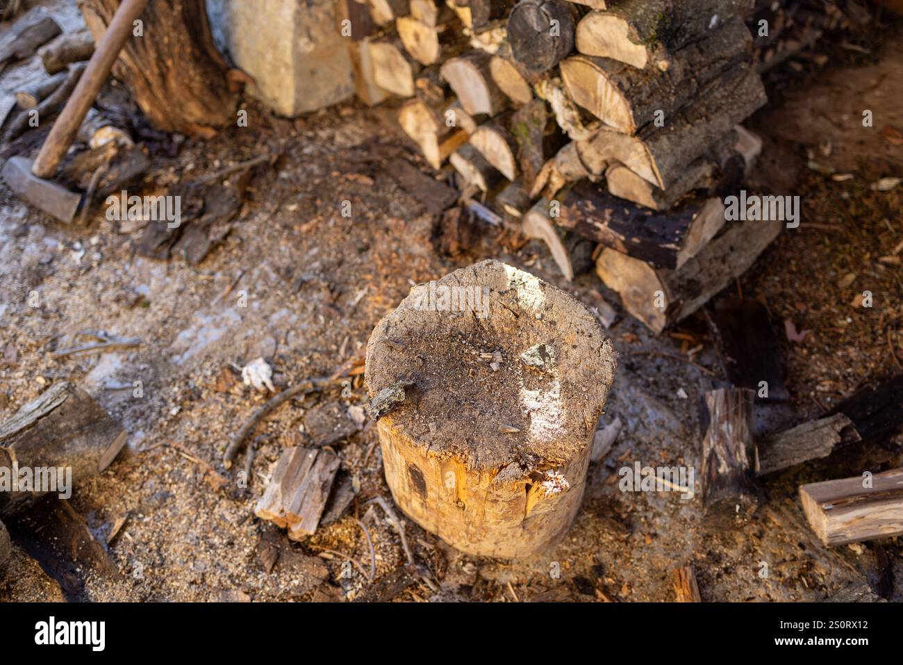 Rustikale Holzschnittszene mit Häckselblock und Brennholzstapel Stockfoto