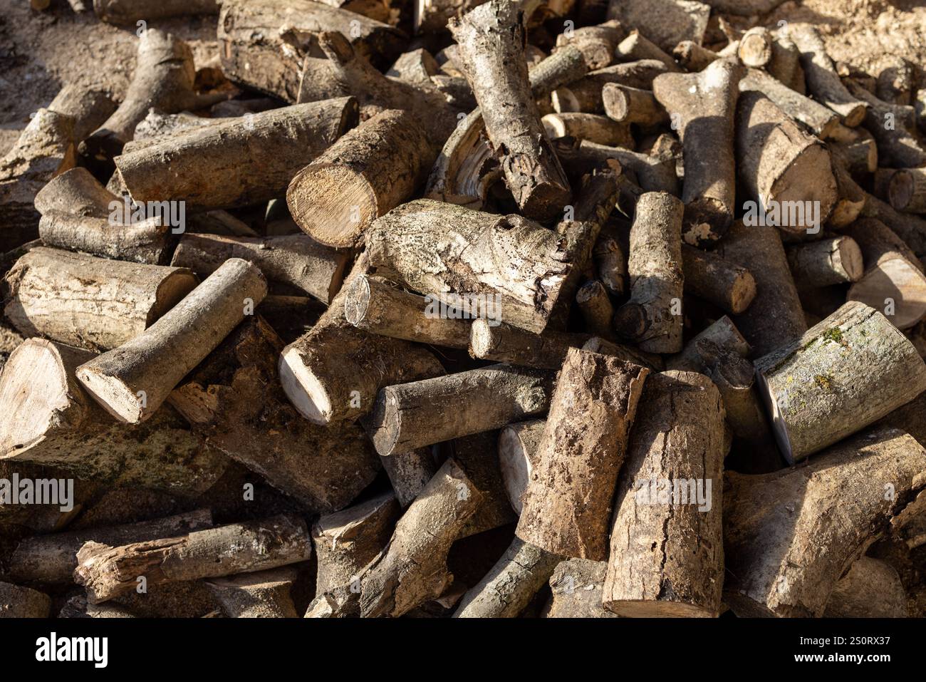 Ein Haufen Brennholz-Logs, bereit zum Verbrennen Stockfoto