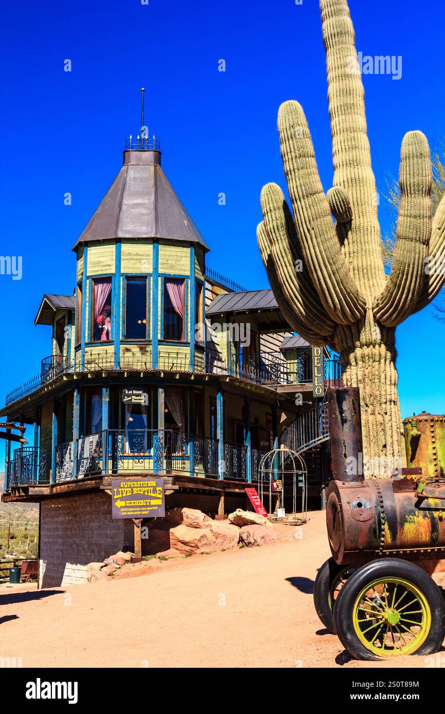 Ein großes Haus mit einem Kaktus davor. Das Haus ist alt und hat viele Fenster Stockfoto