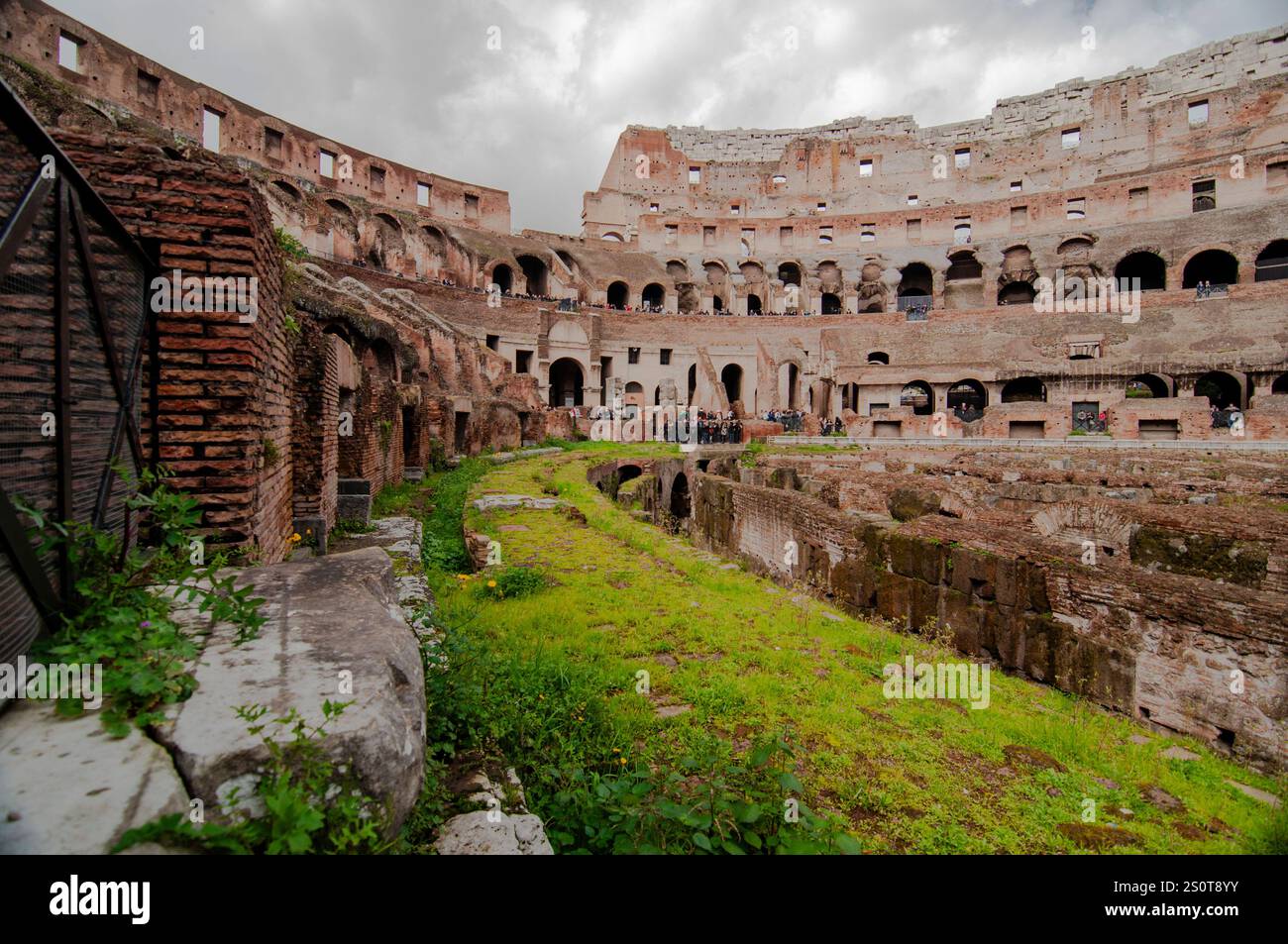 Der ursprüngliche lateinische Name des Kolosseums war Amphitheatrum Flavium, oft anglisiert als Flavisches Amphitheater. Das Gebäude wurde von Kaisern von t errichtet Stockfoto