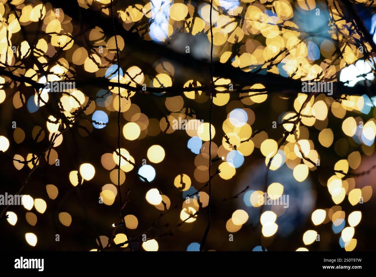 Weihnachtslichter und ein Bokeh-Hintergrund um einen Baum Stockfoto