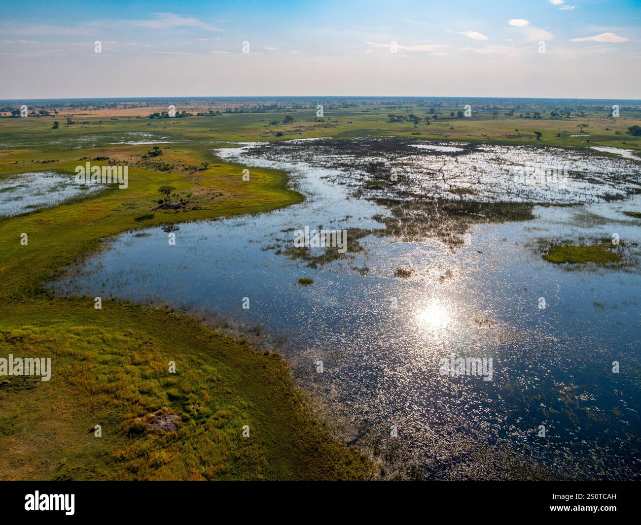 Landschaft in Botswana aus der Luft. Flug von Maun ins Okavango-Delta mit dem Hubschrauber. Stockfoto