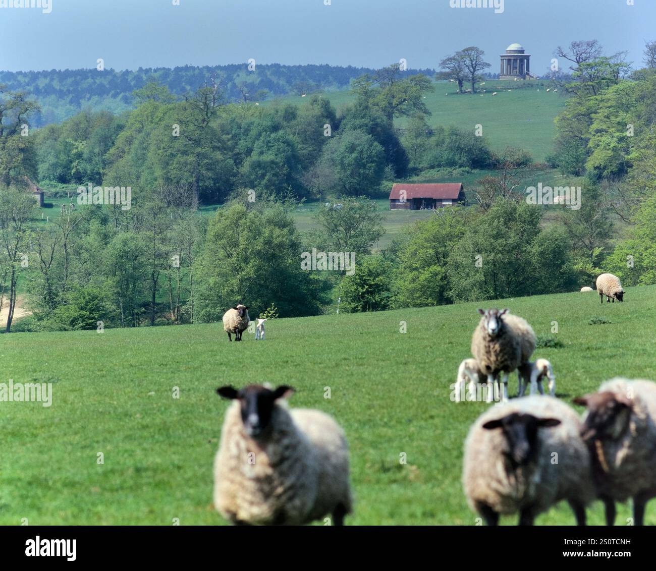 High Weald Landschaft mit dem Tower auf dem Gelände des Brightling Park. East Sussex, England Stockfoto