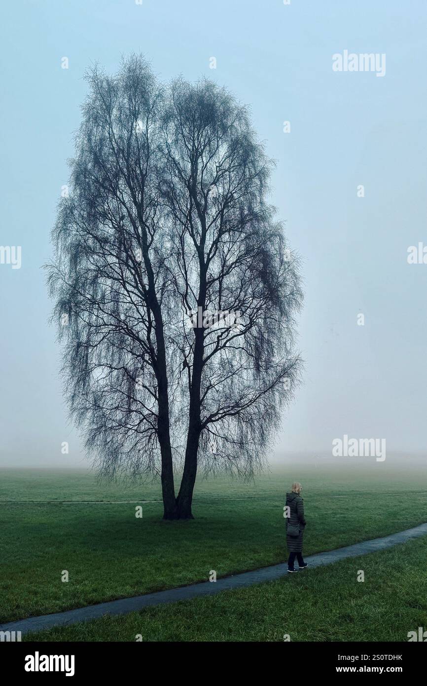 Frau, die an einem Baum im Nebel vorbeiläuft, auf dem Spielfeld in Adlington bei Chorley, Lancashire, Großbritannien - Smartphone-aufgenommenes Stockfoto