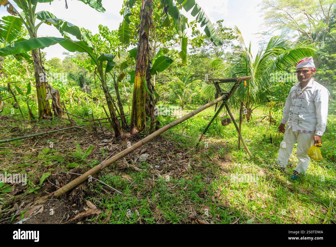 Ein Stammes Arumanen Manuvu-Ältester in traditioneller Kleidung, der eine Stammes-Tierfalle demonstriert, die bei der Jagd auf den Cotabato Philippinen verwendet wird Stockfoto