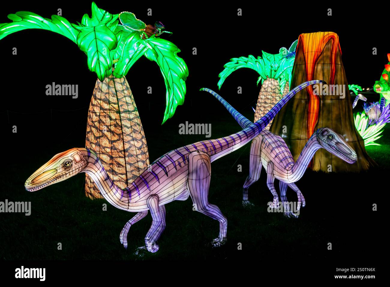 Festival of Light Longleat 28/12/2024 Stockfoto