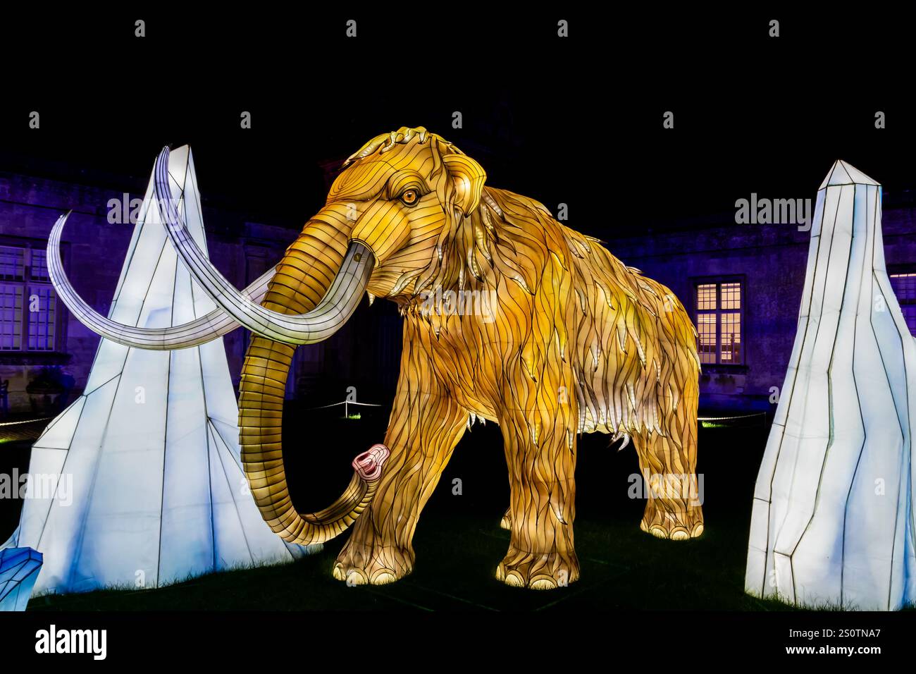 Festival of Light Longleat 28/12/2024 Stockfoto