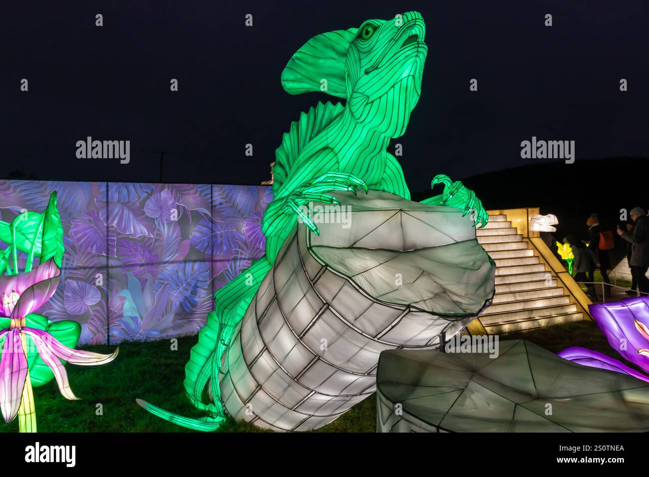 Festival of Light Longleat 28/12/2024 Stockfoto