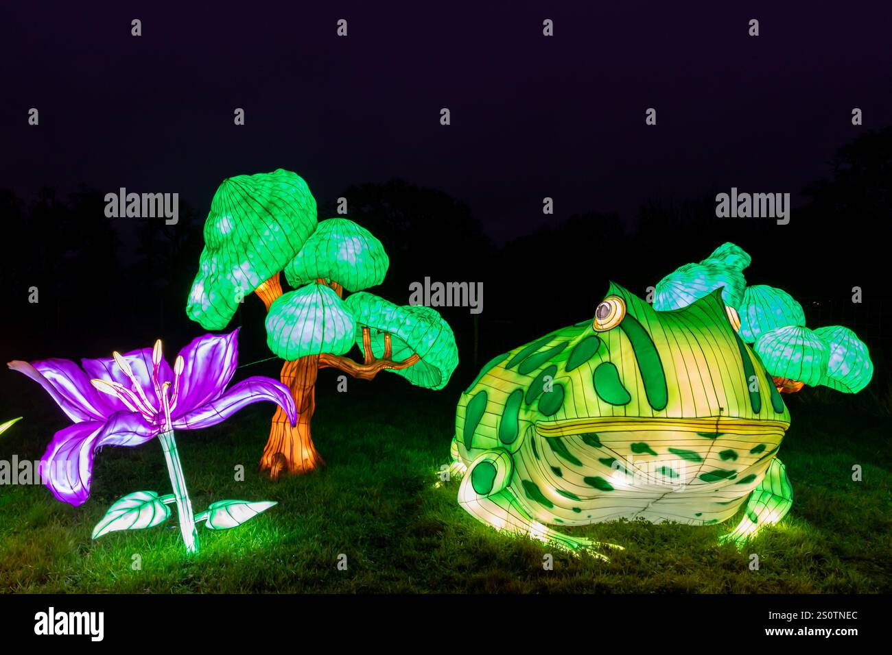 Festival of Light Longleat 28/12/2024 Stockfoto