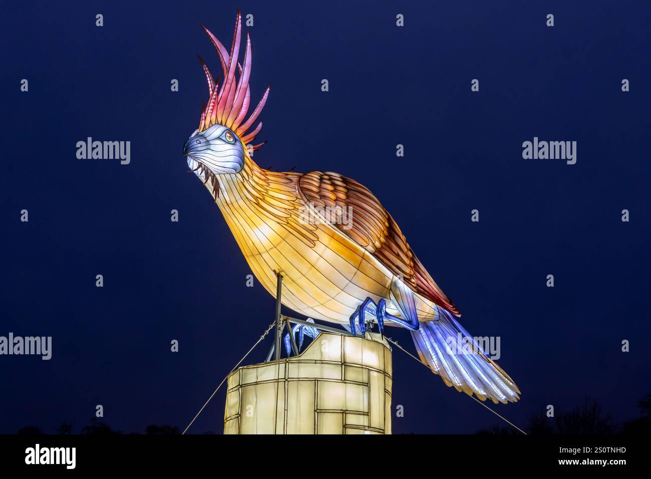 Festival of Light Longleat 28/12/2024 Stockfoto