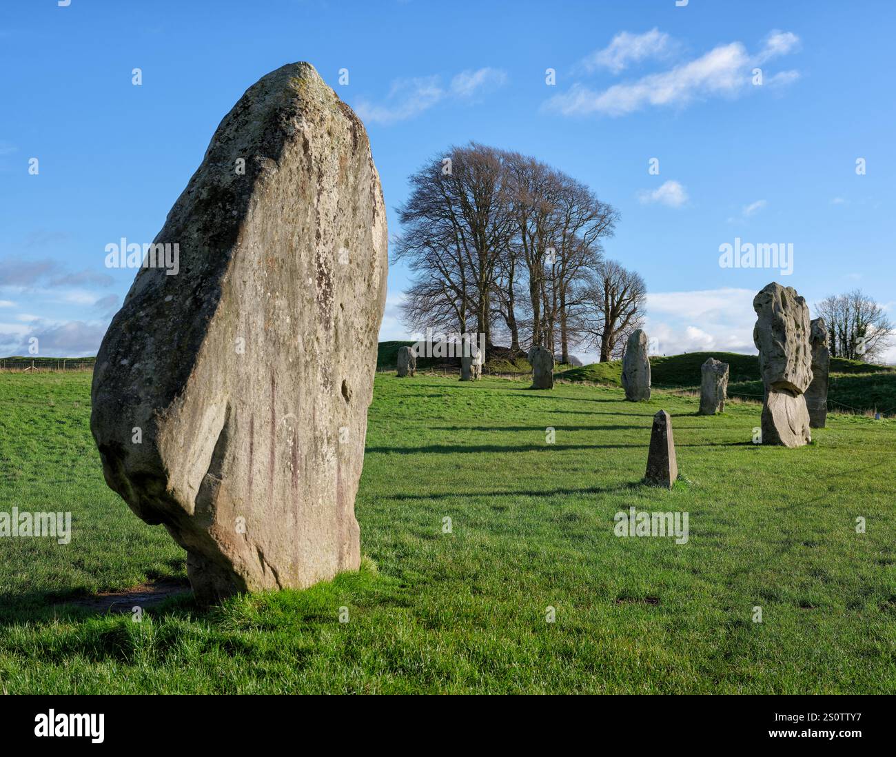 Sarsen stehende Steine des äußeren Rings der neolithischen Henge Avebury und Steinkreis in Wiltshire UK Stockfoto