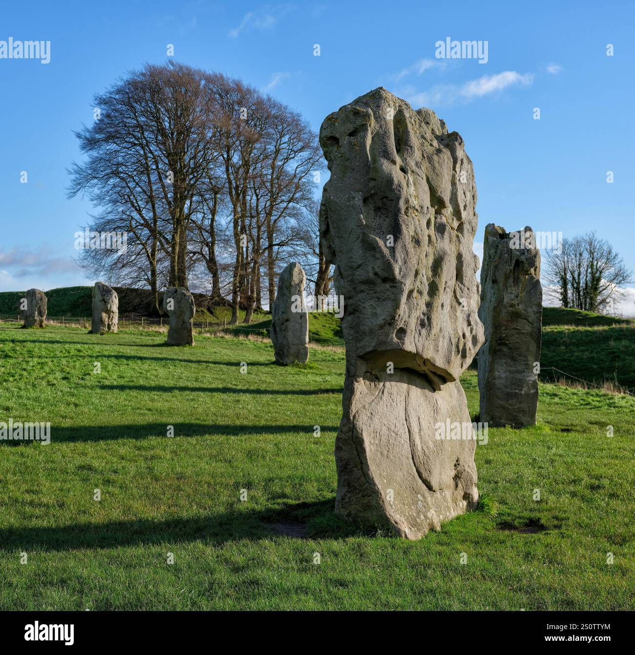 Sarsen stehende Steine des äußeren Rings der neolithischen Henge Avebury und Steinkreis in Wiltshire UK Stockfoto