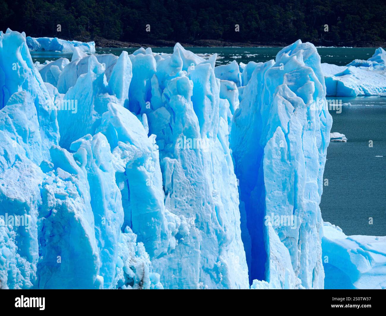 Blaue Eiswand des Perito Moreno Gletschers nahe El Calafate im argentinischen Patagonien Südamerika Stockfoto