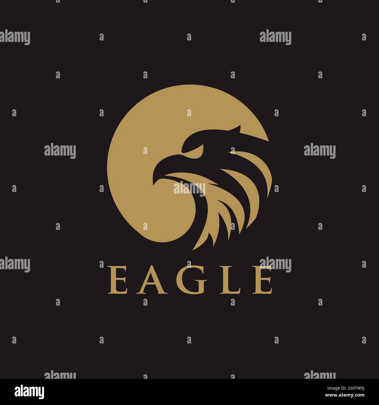 Eagle Bird Logo Design Vektorkonzept, Bird Logo Vorlage Stock Vektor