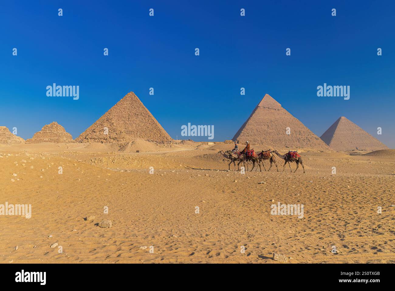 GIZAH, ÄGYPTEN - 23. DEZEMBER 2024: Kamelfahrer fahren vor den Pyramiden von Gizeh vorbei und suchen nach Touristen. Kamelfahrer, die vor dem vorbeifahren Stockfoto