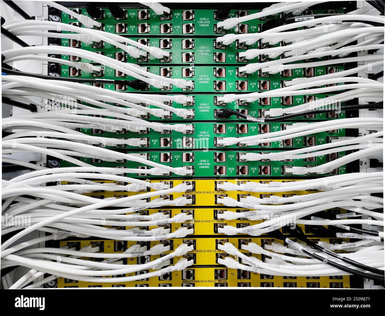 Eine Gruppe von Niederspannungskabeln ist sorgfältig mit der Rückseite von Servern verbunden, die in einem eleganten, modernen Rack untergebracht sind. Stockfoto