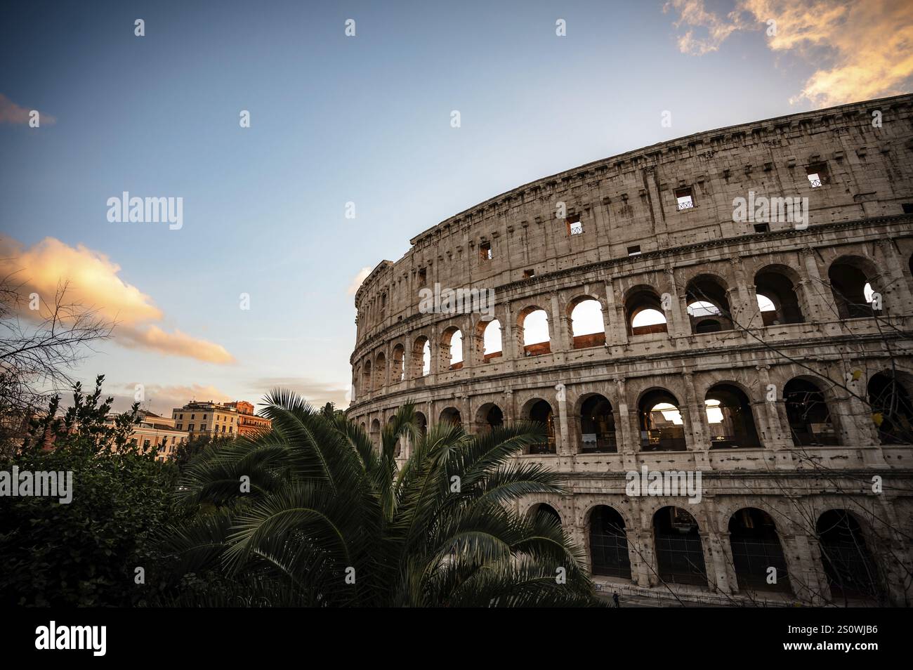 Kolosseum im Abendlicht mit Palmen im Vordergrund und blauem Himmel, Rom Stockfoto