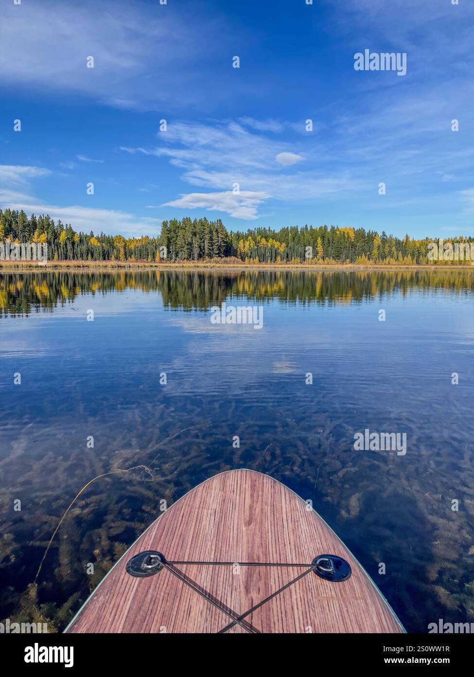 Ein landschaftlich schöner Herbstsee, umgeben von lebhaften Wäldern, mit einem Paddleboard, das ein friedliches Outdoor-Erlebnis bietet. Die Reflexion der Bäume trägt zum Ser bei Stockfoto