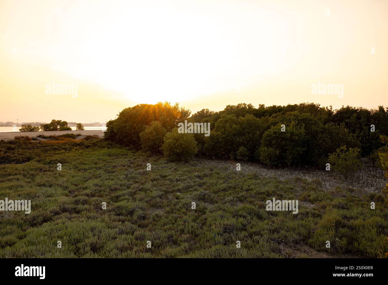 Purple Island Al Khore Doha Katar am 12/2024 Stockfoto