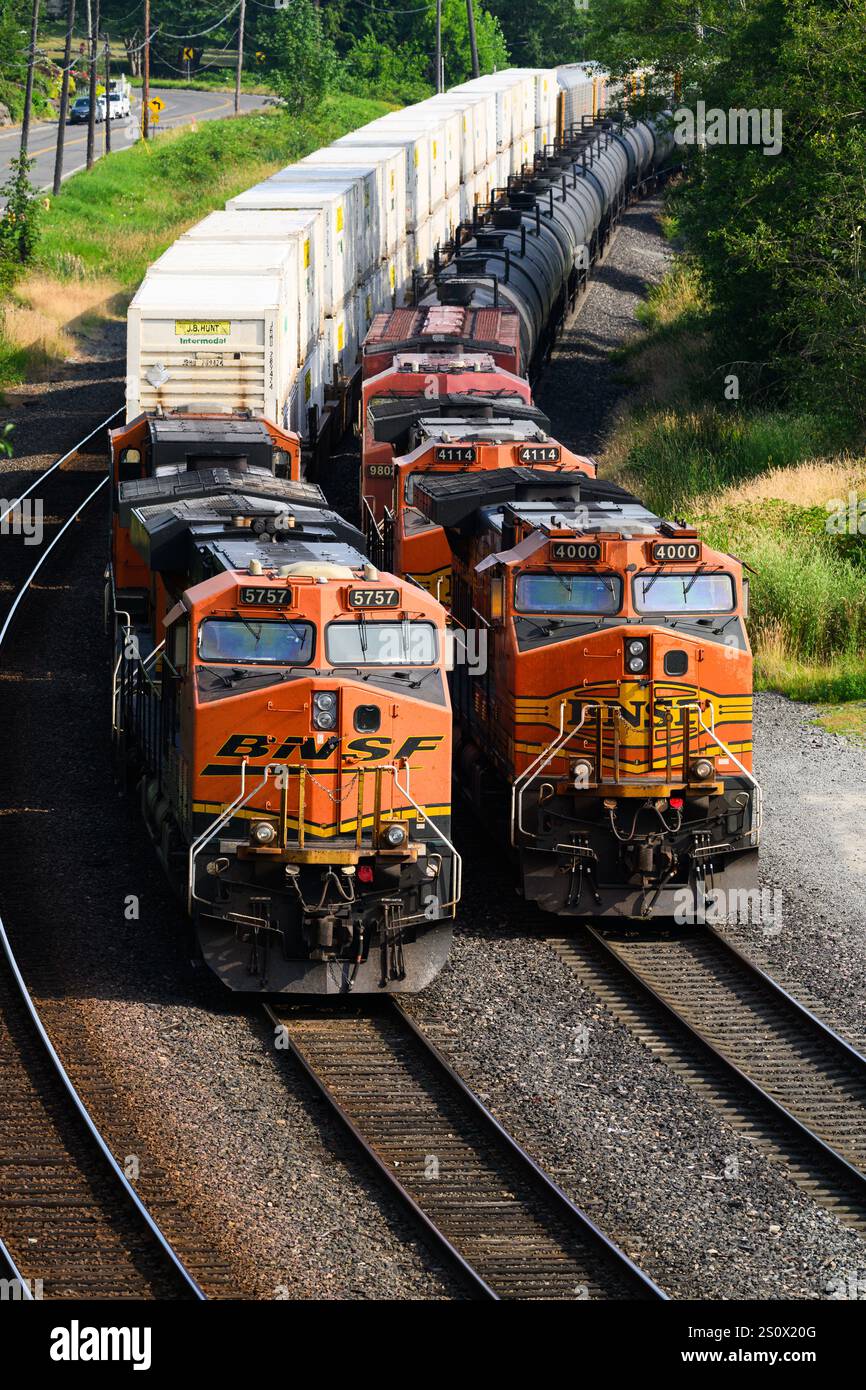 Everett, WA, USA - 17. Juli 2024; zwei BNSF-Güterzüge zusammen auf Kurve mit mehreren orangen Lokomotiven Stockfoto