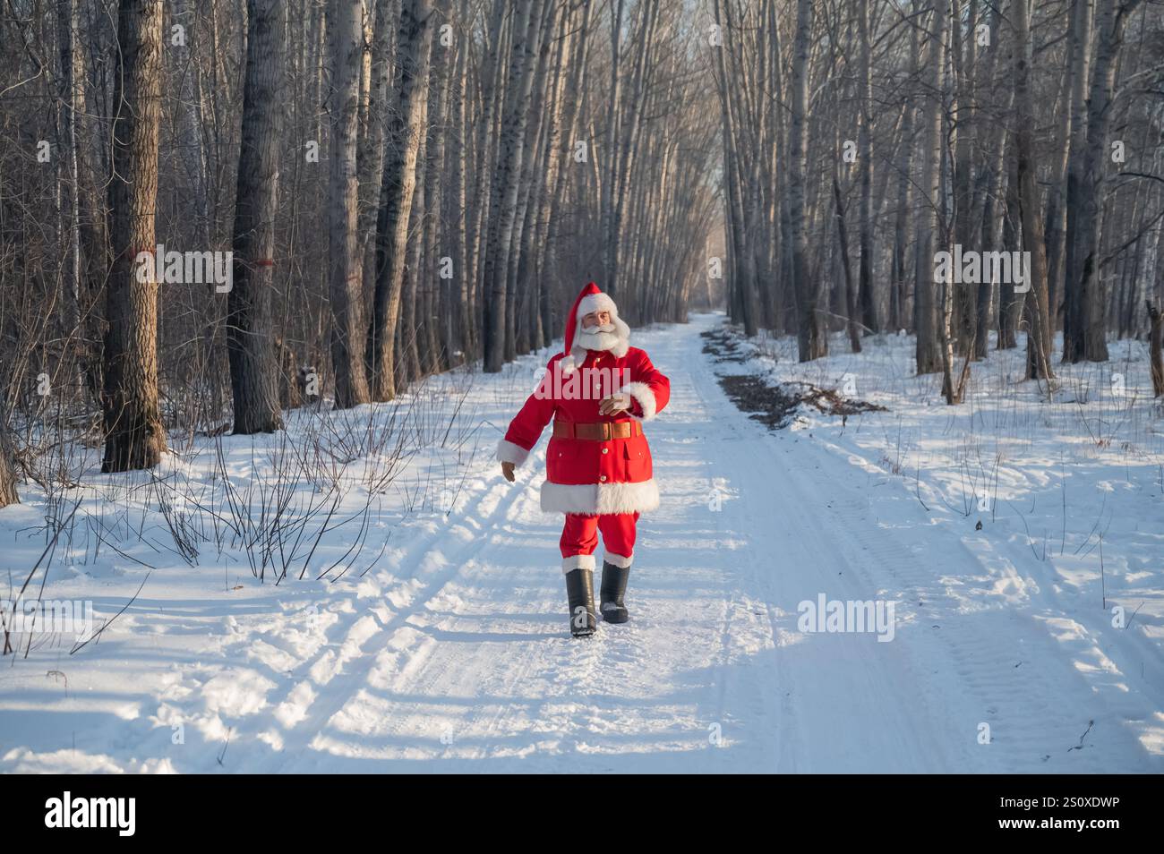 Der Weihnachtsmann spaziert durch den Winterwald. Stockfoto