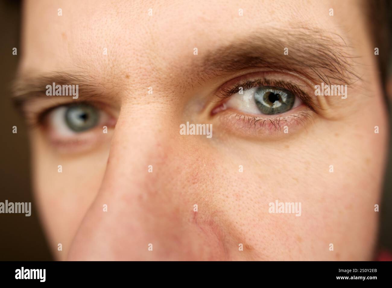 Der Mann schaut neugierig in die Kamera. Intensiver Blick mit grauen Augen. Männliches Gesicht mit fokussiertem Ausdruck Stockfoto