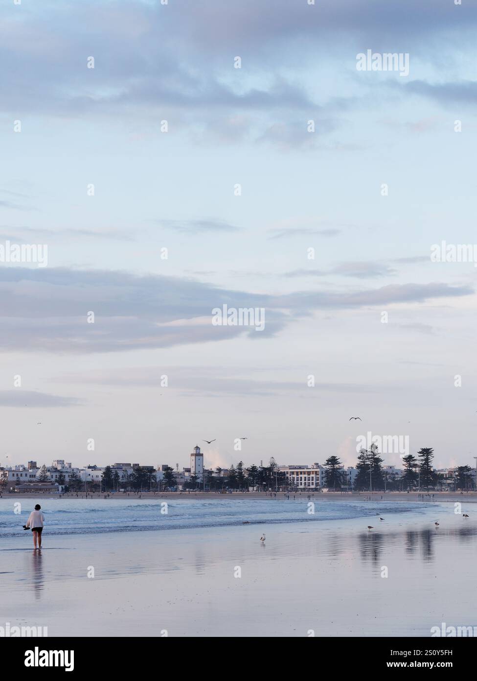 Frau mit Schuhen geht vor Sonnenuntergang an der seichten Küste mit der Medina im Hintergrund, die sich im Wasser spiegelt. Essaouira, 29. Dezember 2024 Stockfoto