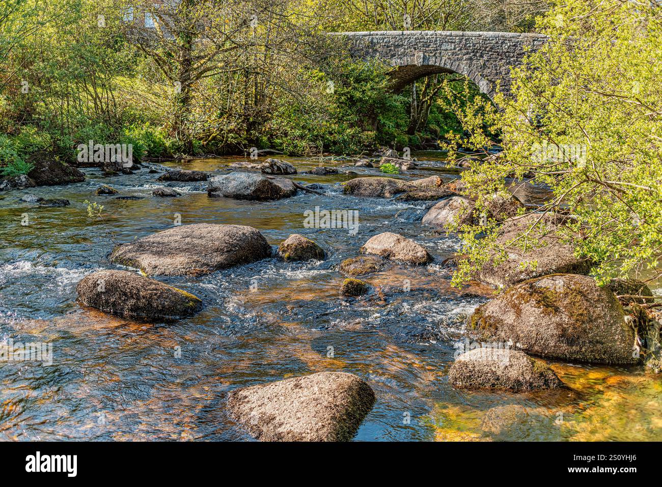 East Dart River bei Badger Holt in der Nähe der Dartmeet Bridge, Dartmoor National Park, Devon, England, Großbritannien Stockfoto