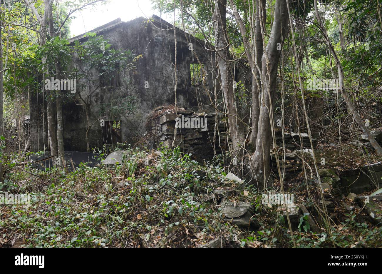 Ein verlassenes Dorf an der Ostküste der Insel Tung Ping Chau in Hongkong. Stockfoto