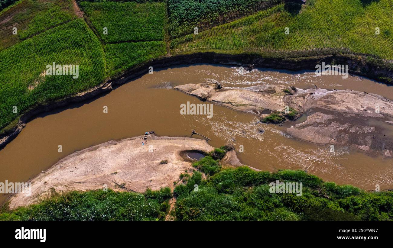 Aus der Vogelperspektive mit wunderschönem Blick auf grüne symmetrische Maisfelder in ländlicher Gegend entlang des Flusses. Hintergrund der Agrarlandschaft Stockfoto