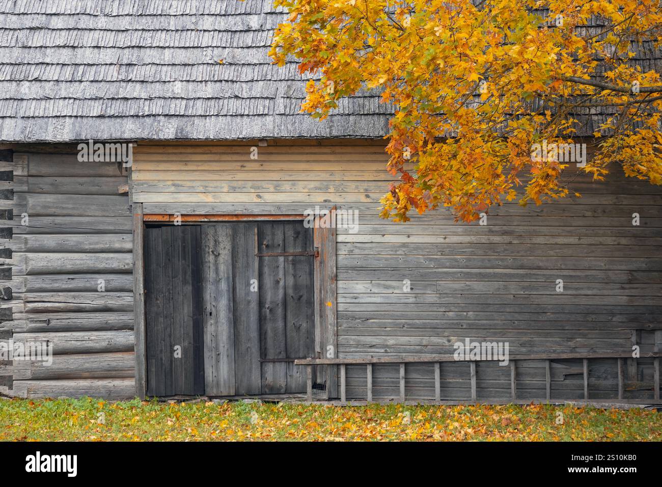 Ein alter Holzschuppen oder Schuppen. Der Schuppen hat ein einfaches Design mit großen, soliden Türen und einem Strohdach. Das Gebäude besteht aus runden, konifizierten Baumstämmen Stockfoto