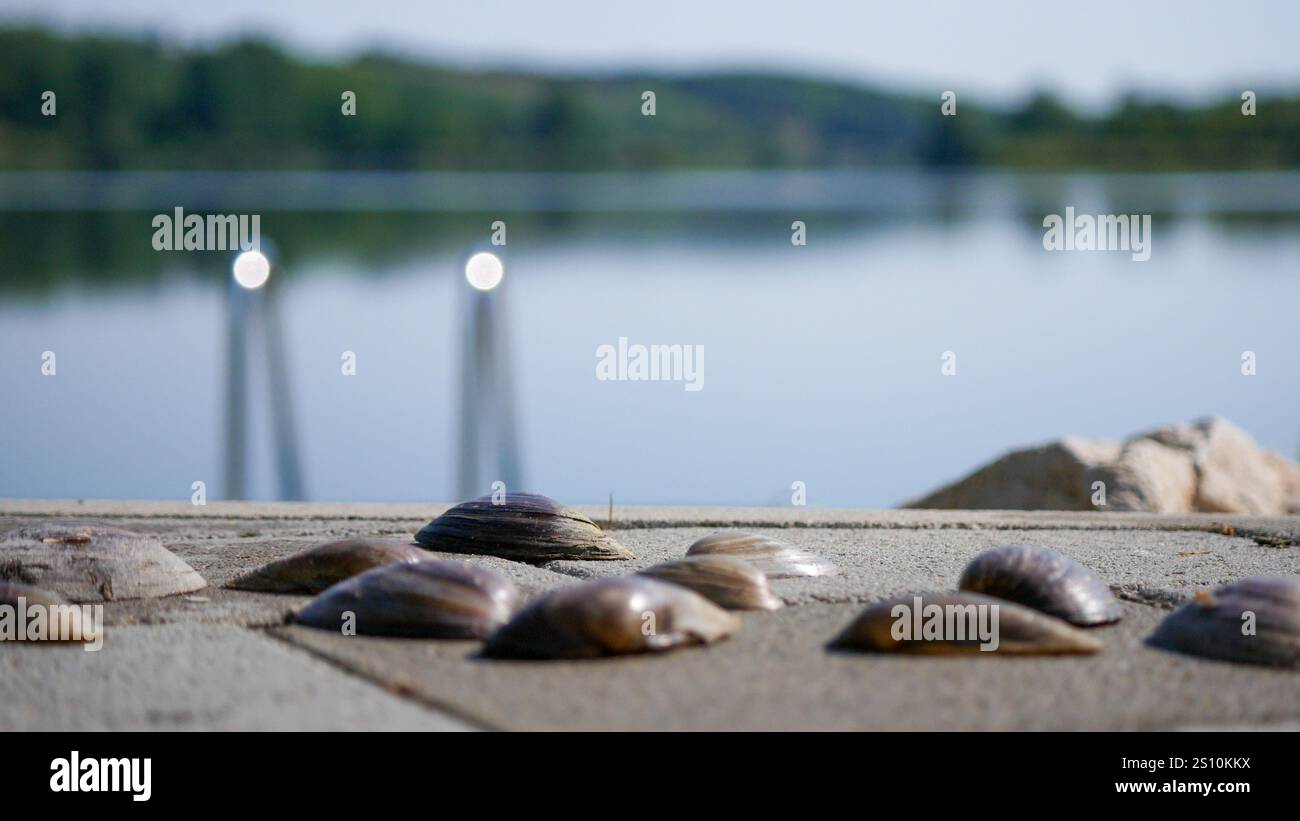 Schalen auf dem Dock Stockfoto