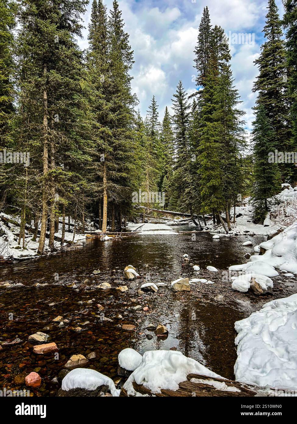 Ein ruhiger Fluss schlängelt sich durch die majestätischen Rocky Mountains von Montana, umgeben von hoch aufragenden Kiefern und unberührter Wildnis. Eine atemberaubende Szene. - Smartphone-aufgenommenes Stockfoto