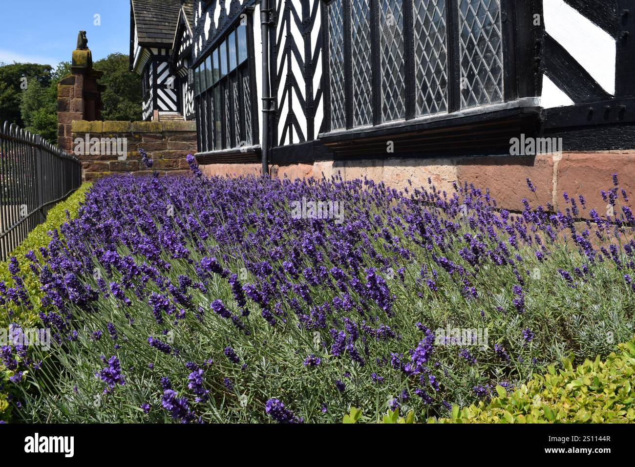 Speke Hall, Liverpool Stockfoto