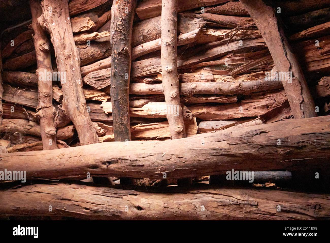 Eukalyptusholzsparren und Dach in einem traditionellen berberhaus mit Schlamm und Holz in azrou marokko Stockfoto