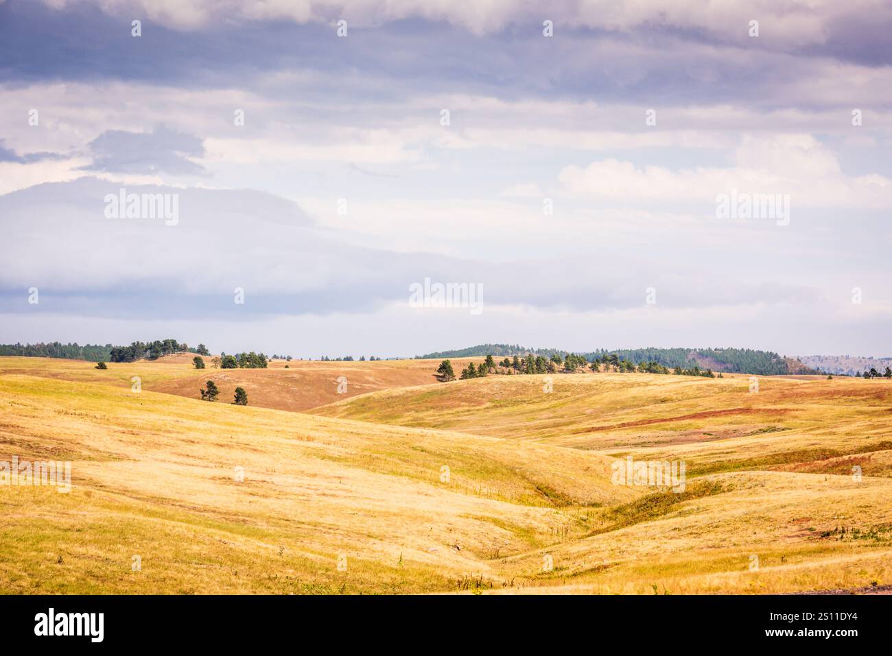 Grasfeld und grauer Himmel im Wind Cave National Park in South Dakota. Stockfoto
