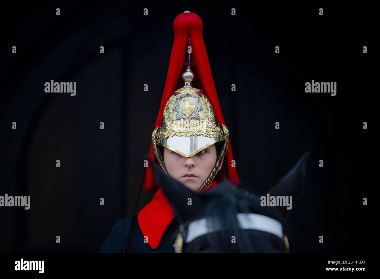 Weibliche Königswache bei Horse Guards, London Stockfoto