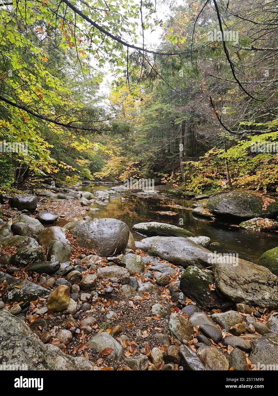Ein felsiger Fluss fließt durch den Herbstwald am Fuße des Cardigan Mountain in New Hampshire, USA. - Smartphone-aufgenommenes Stockfoto