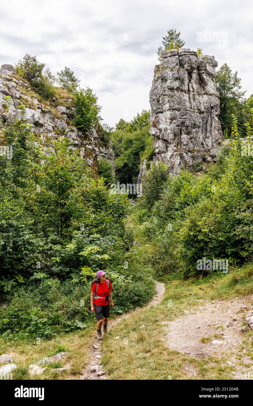 Kalkfelsen in der Nähe der Burg Spis, Skalné mesto Dreveník, Region Košicke, Slowakei Stockfoto