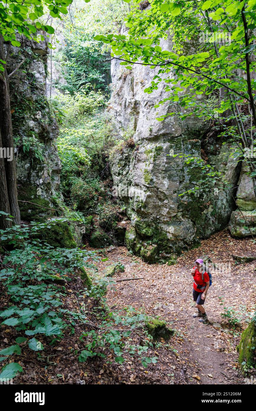 Kalkfelsen in der Nähe der Burg Spis, Skalné mesto Dreveník, Region Košicke, Slowakei Stockfoto