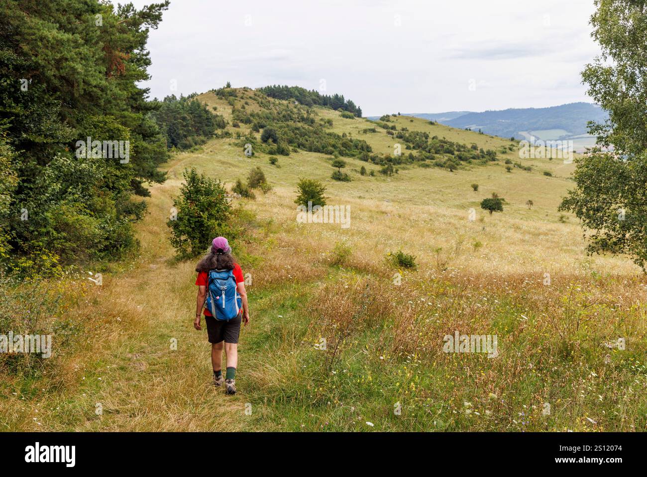 Grasland in der Nähe der Burg Spis, Skalné mesto Dreveník, Region Košicke, Slowakei Stockfoto