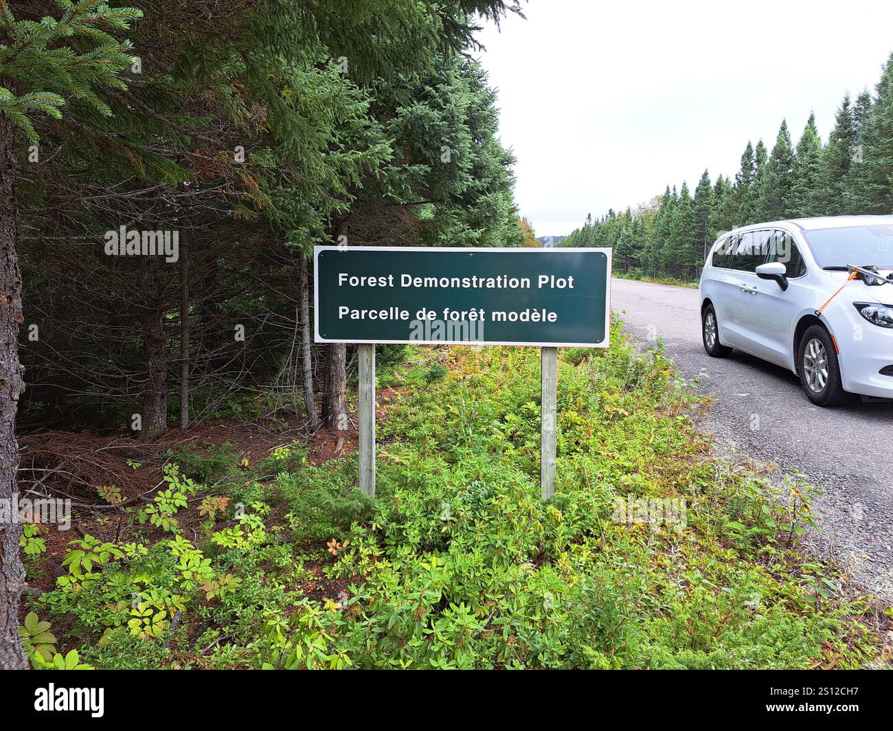 Schild für die Waldvorführung im Terra Nova National Park in Glovertown, Neufundland und Labrador, Kanada Stockfoto