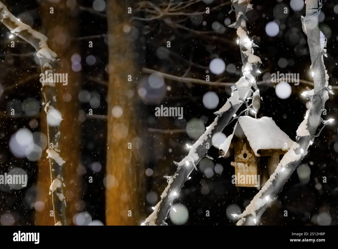 Weihnachtslichter und Vogelhäuschen und fallender Schnee im Mecosta County, Michigan, USA Stockfoto