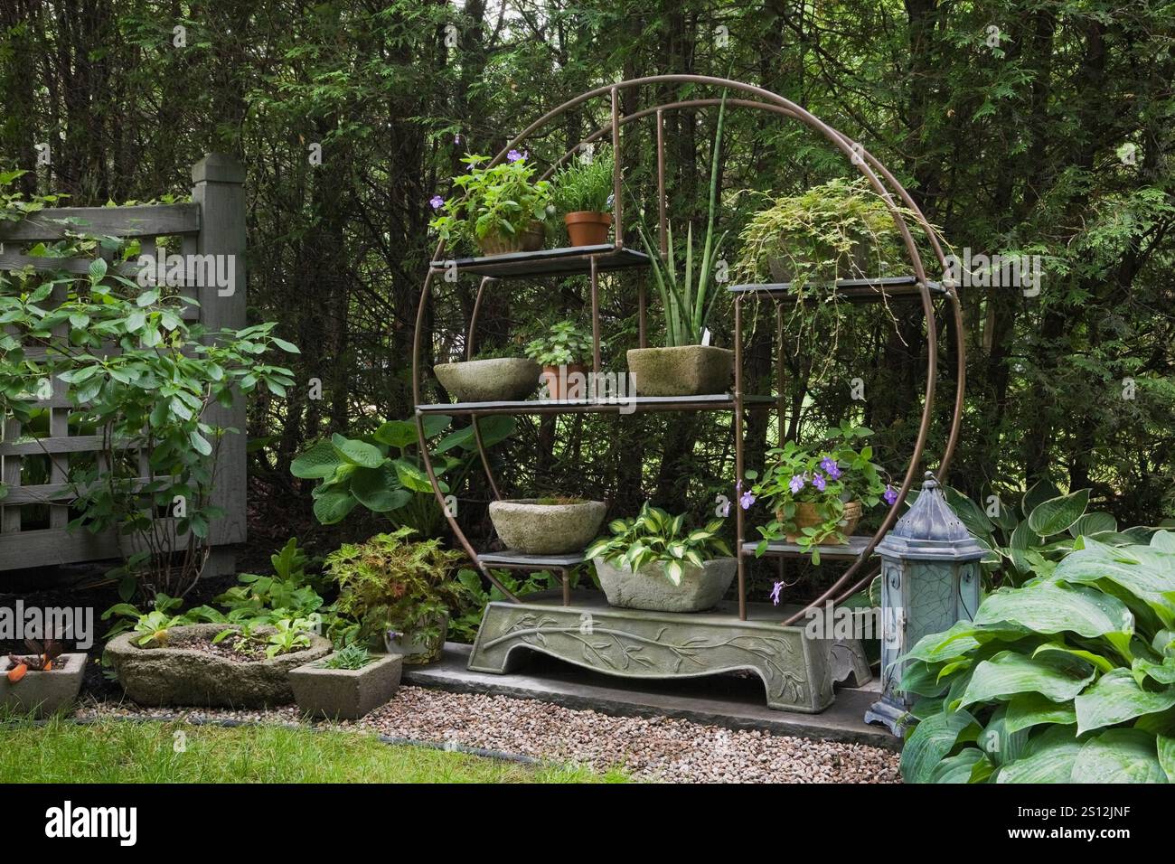 Runder Kupferschlauch und Wandregal aus Metall, dekoriert mit ein- und ausdauernden Pflanzen und gemischten Hostas in der Grenze im Garten im Hinterhof im Sommer Stockfoto
