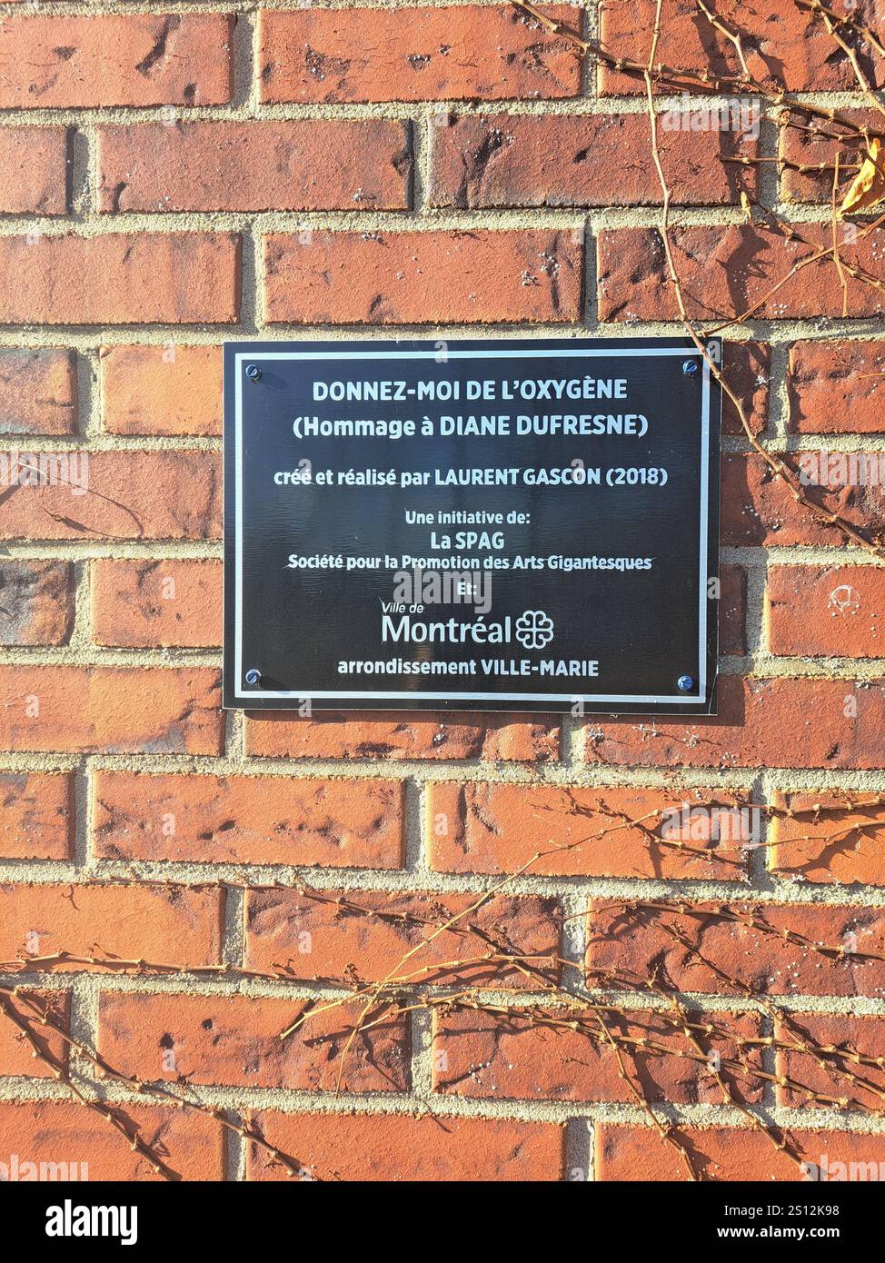 Künstlerschild für das Porträt von Diane Dufresne im Viertel Hochelaga in Montreal, Quebec, Kanada Stockfoto