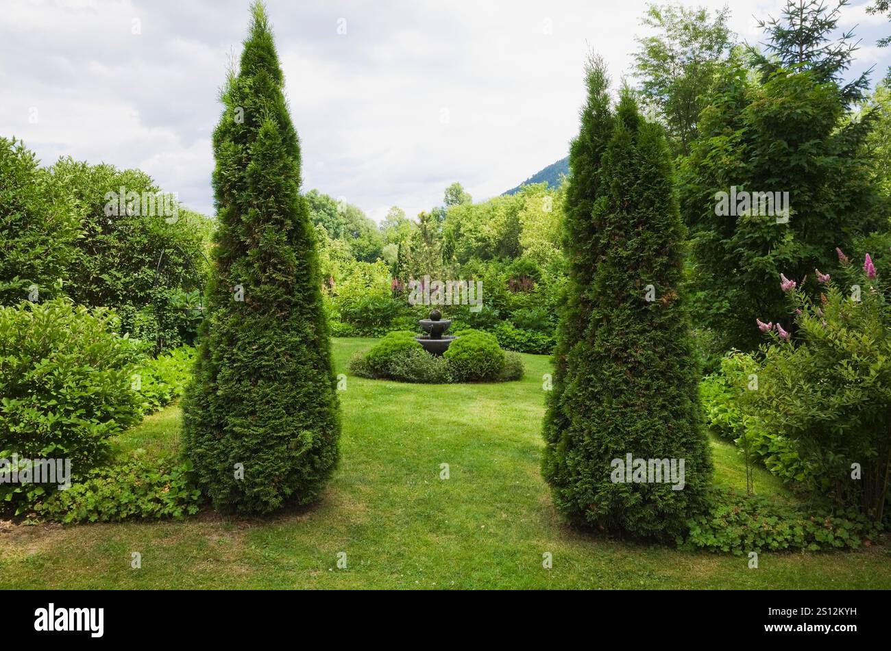 Gepflegter grüner Rasen mit Wasserbrunnen, eingerahmt von getrimmtem Thuja occidentalis 'Smaragd' - Zedernbäume im Garten im Garten im Garten im Sommer. Stockfoto