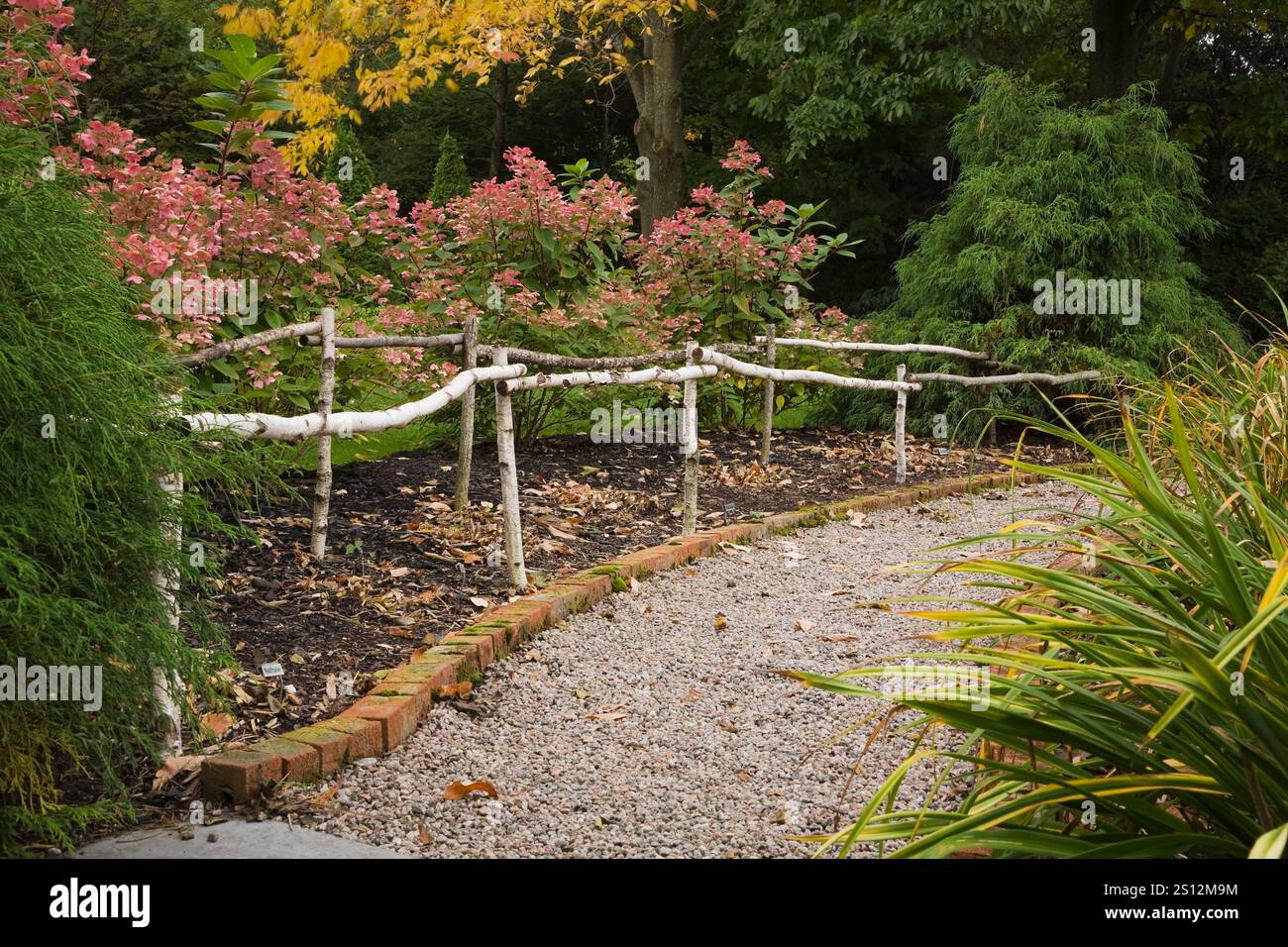 Schotterweg durch Grenzen mit Hortengea paniculata „Quick Fire“ Sträuchern, Hemerocallis Stielen - Taglilie und umrandet mit roten Ziegeln und rustikalem Geländer. Stockfoto