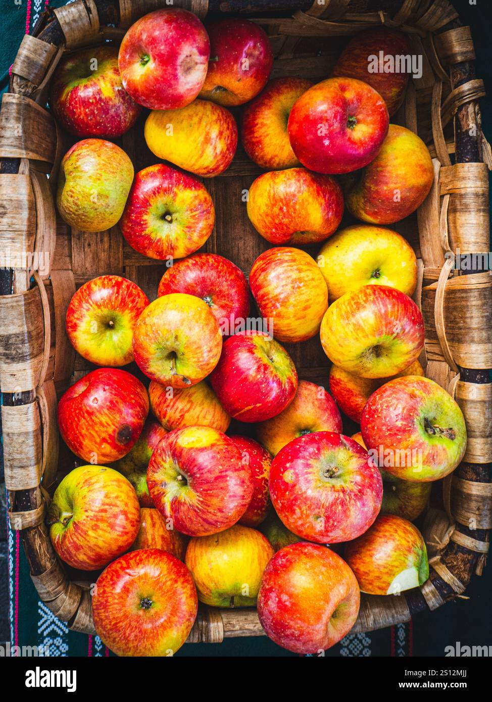 Ein Korb gefüllt mit frischem Reinette-Apfel auf einem Markt. Stockfoto